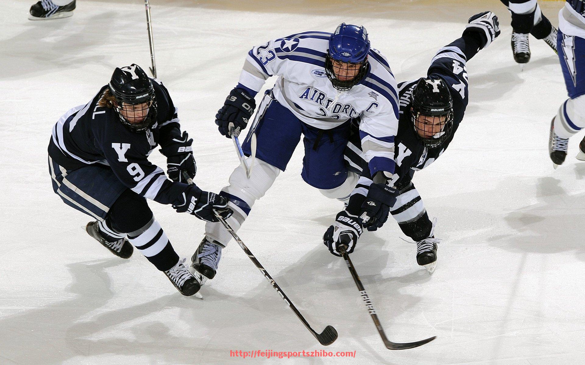 飞鲸体育直播-欧冠比分查询平台推荐及最新比分实时更新